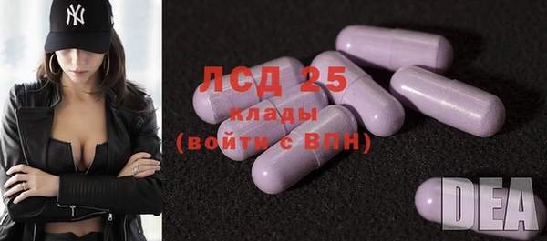 гидропоника Гусиноозёрск