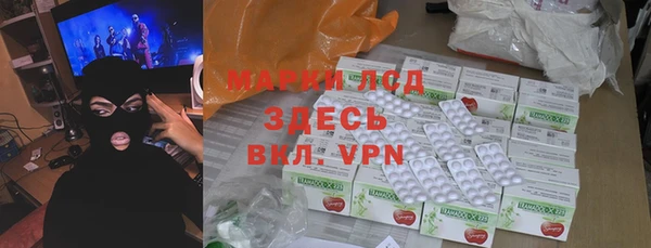 гидропоника Гусиноозёрск