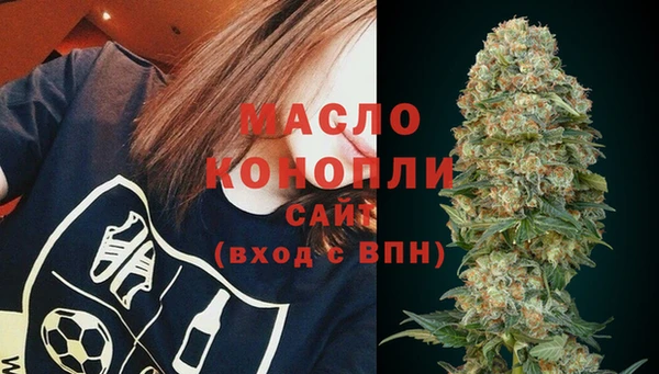 гидропоника Гусиноозёрск