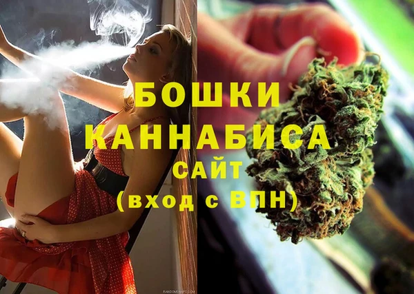 гидропоника Гусиноозёрск