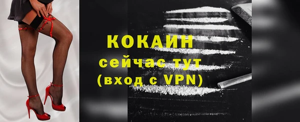 гидропоника Гусиноозёрск