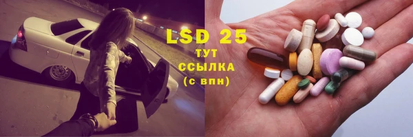 гидропоника Гусиноозёрск