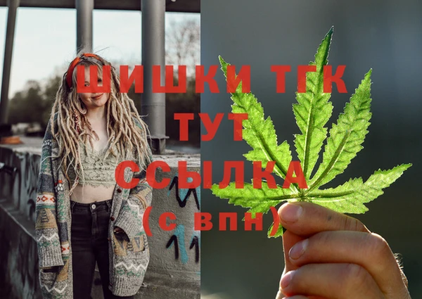 гидропоника Гусиноозёрск