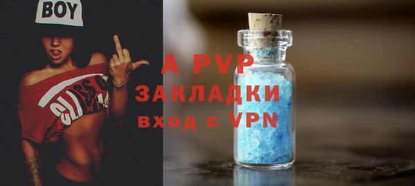 гидропоника Гусиноозёрск