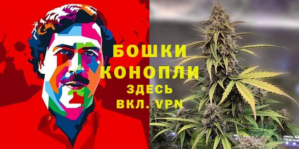 гидропоника Гусиноозёрск