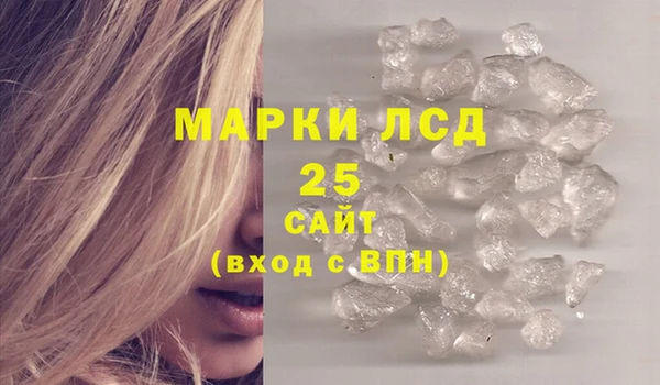 гидропоника Гусиноозёрск