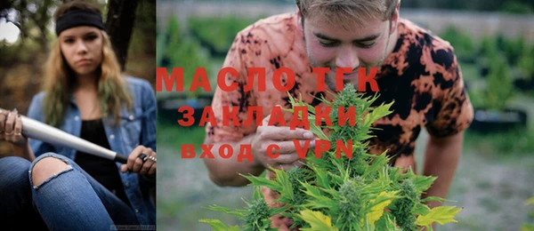 гидропоника Гусиноозёрск