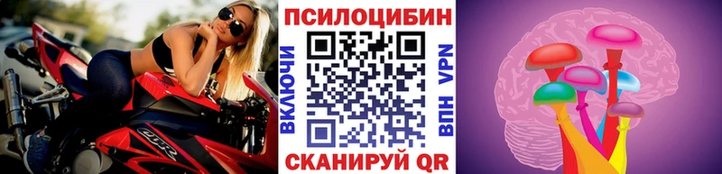 Псилоцибиновые грибы MAGIC MUSHROOMS  цена наркотик  Карабаново 